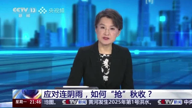 【主流媒體看周口】面對連陰雨 如何“搶”秋收？